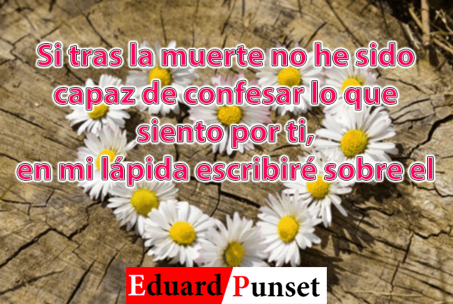 Ver las imágenes de origen